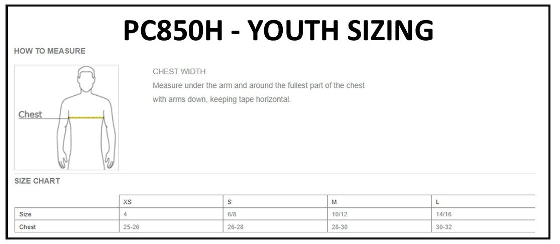 STUDENT DESIGN WINNER - Port & Co. Youth Fan Favorite Pullover Hoodie (Youth Sizes)